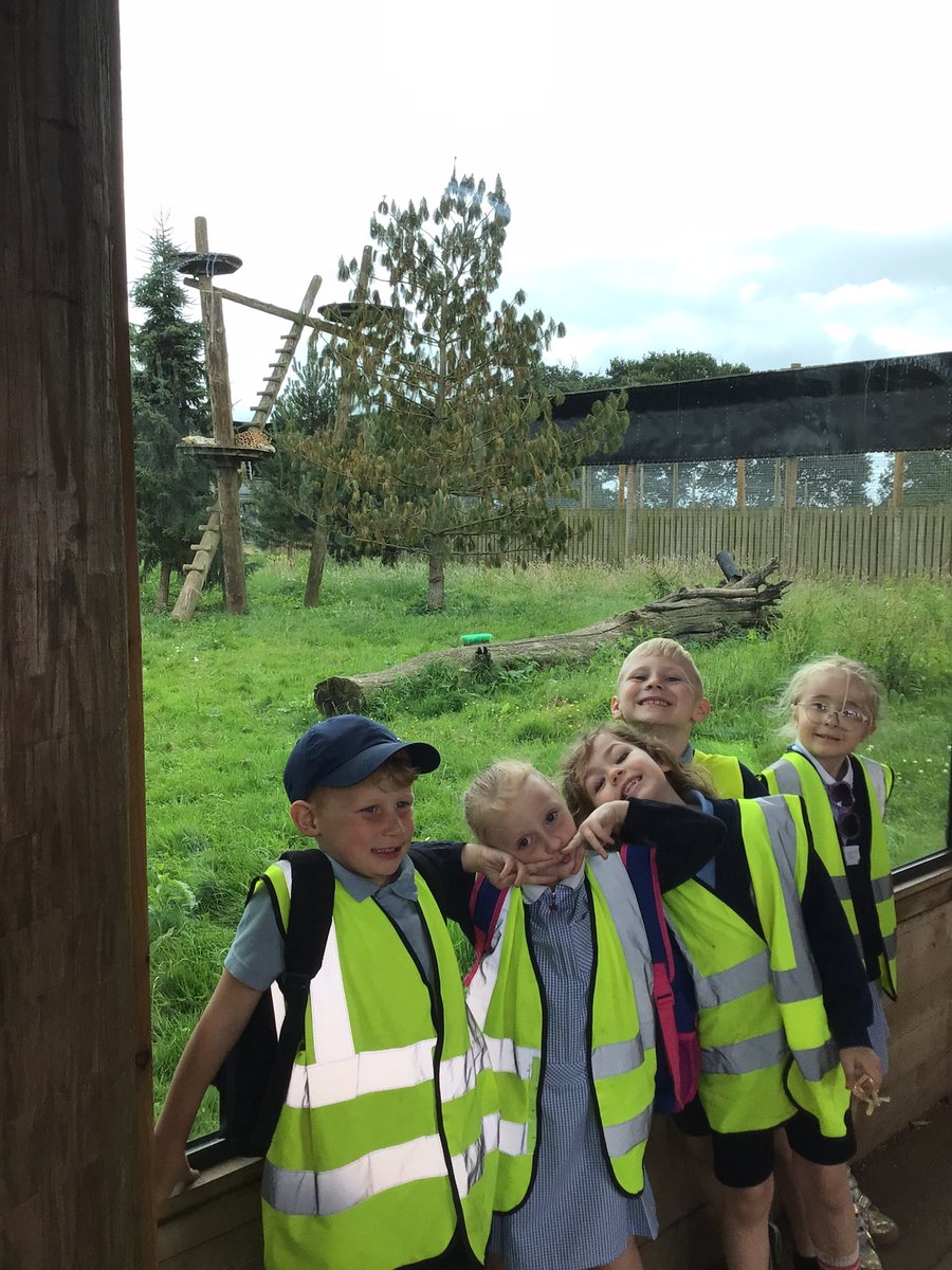 Y1 Blue Class-Beighton NI tweet media