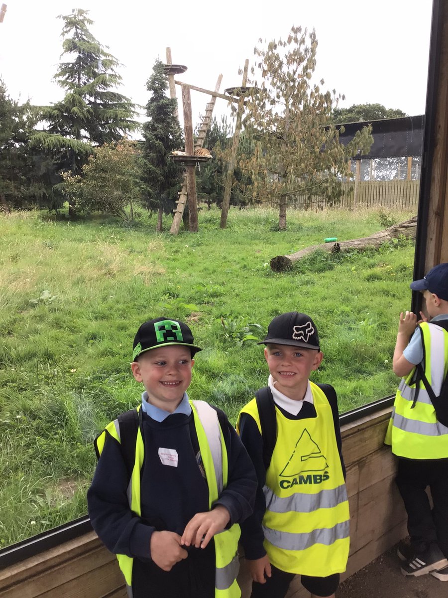 Y1 Blue Class-Beighton NI tweet media