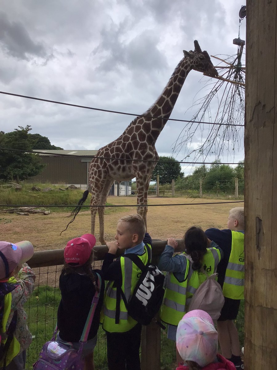 Y1 Blue Class-Beighton NI tweet media