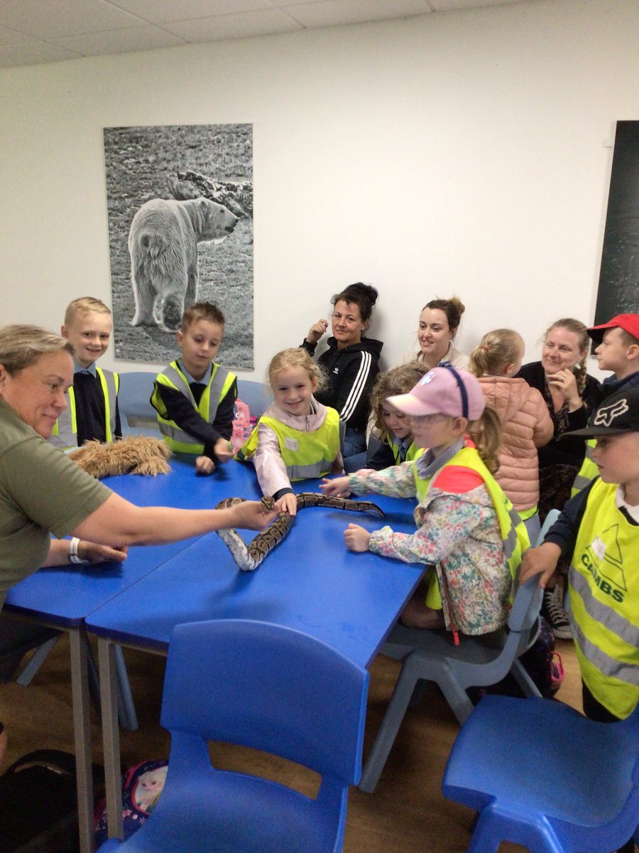 Y1 Blue Class-Beighton NI tweet media
