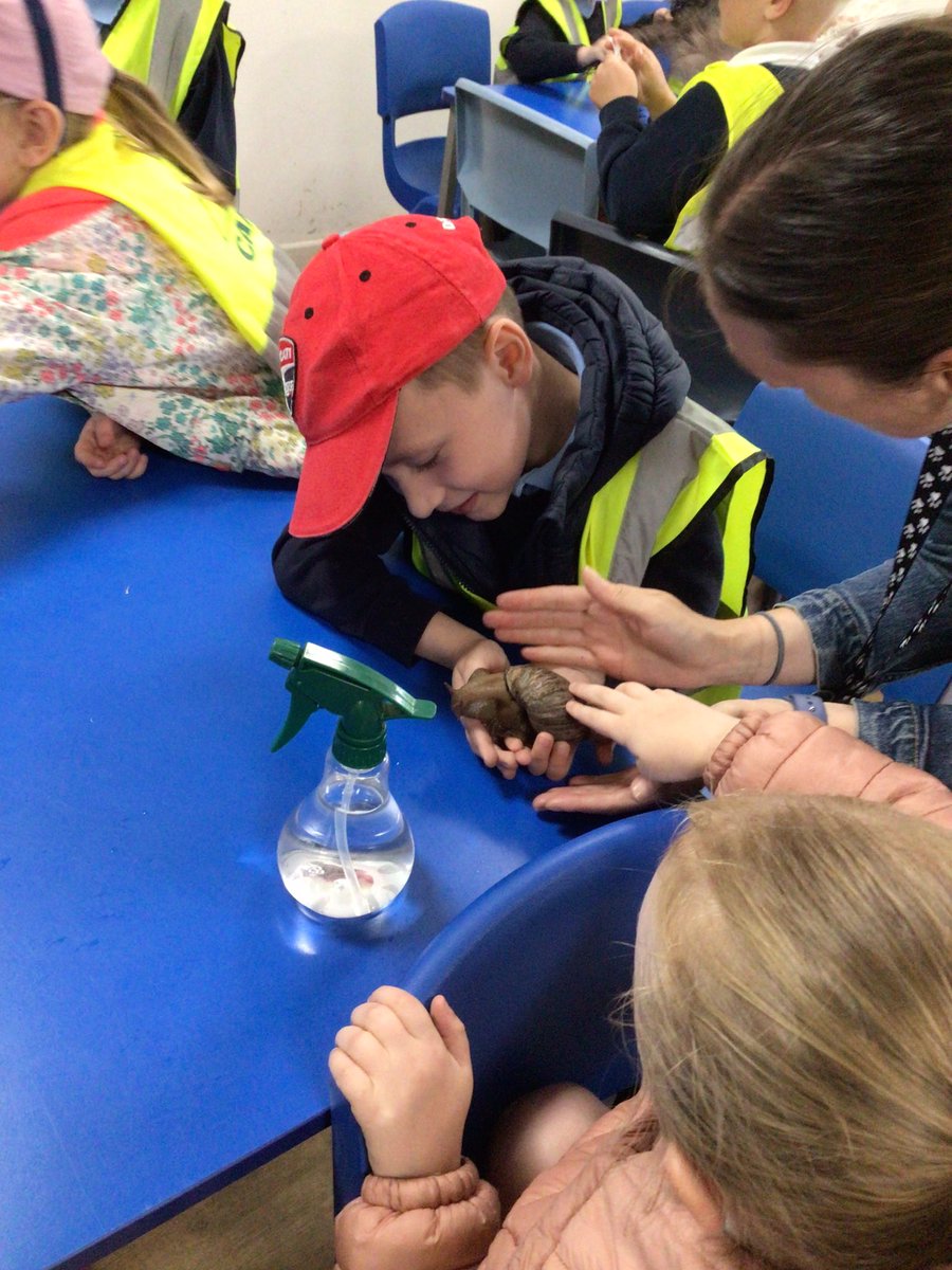 Y1 Blue Class-Beighton NI tweet media