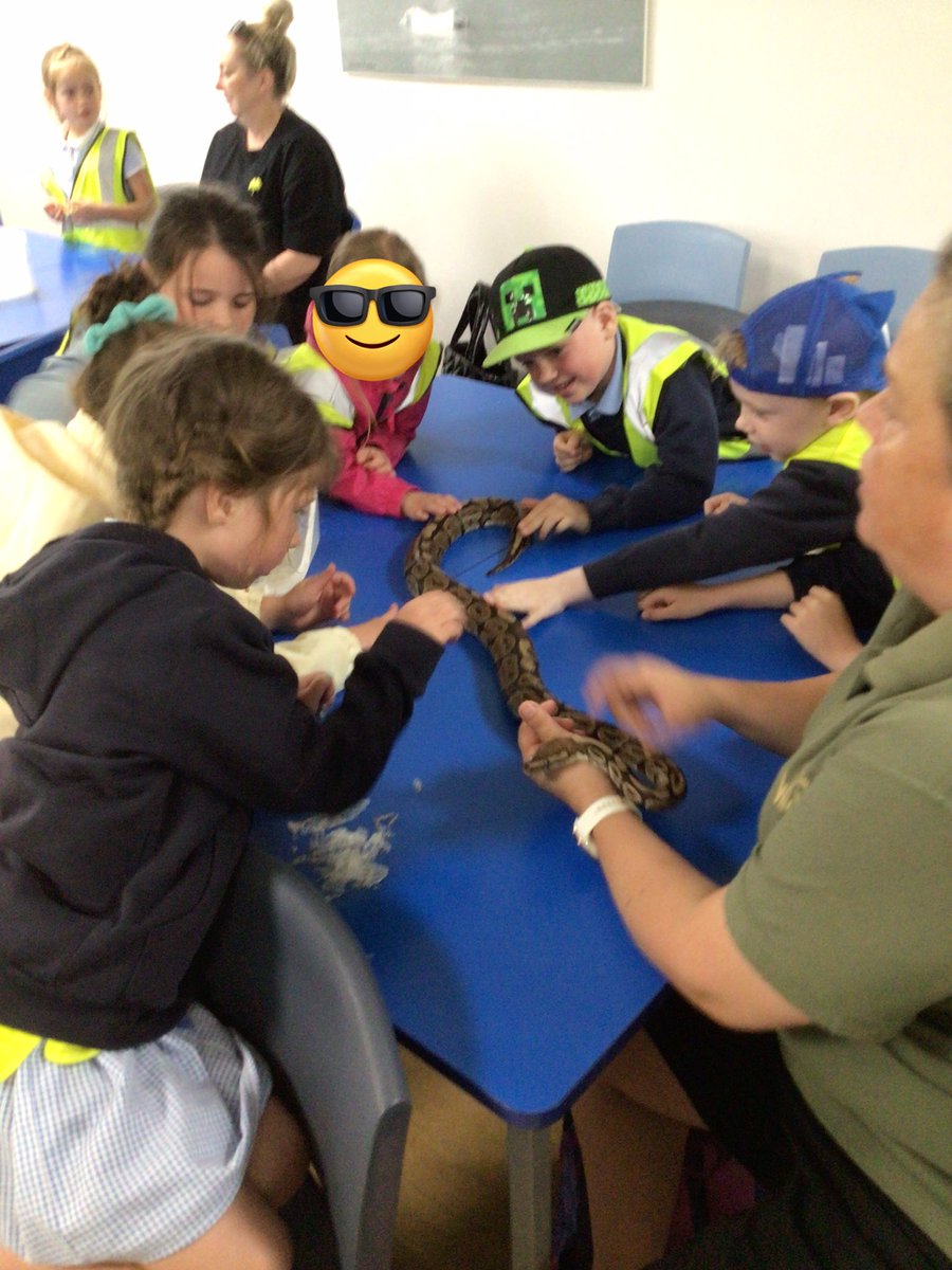 Y1 Blue Class-Beighton NI tweet media