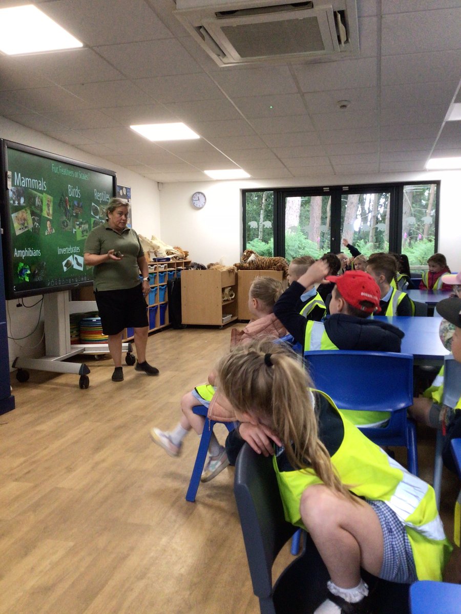 Y1 Blue Class-Beighton NI tweet media