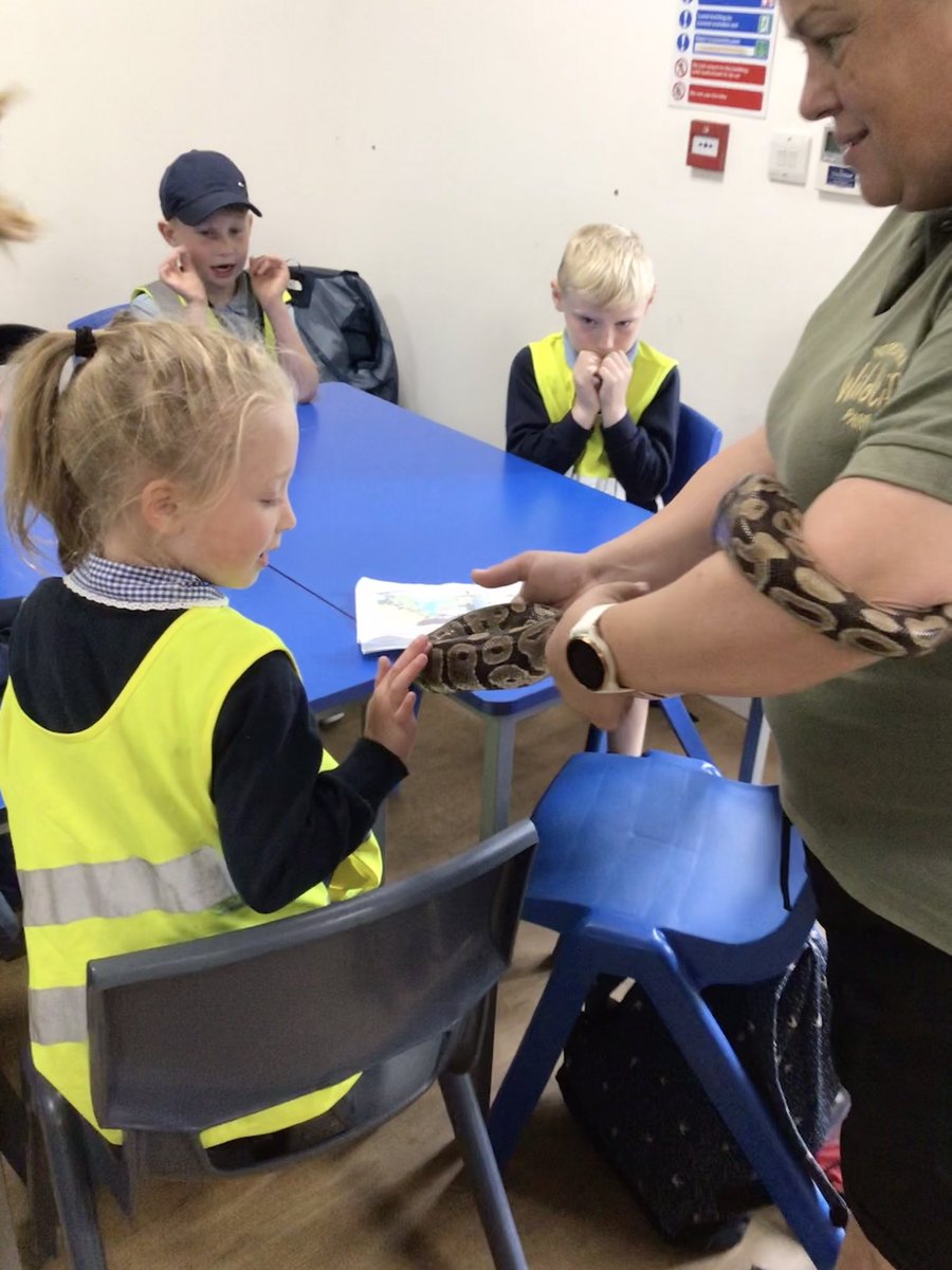 Y1 Blue Class-Beighton NI tweet media