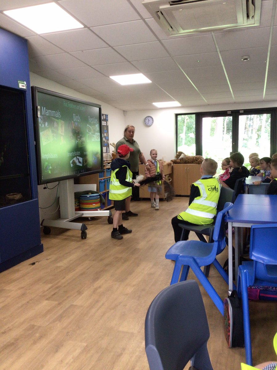 Y1 Blue Class-Beighton NI tweet media