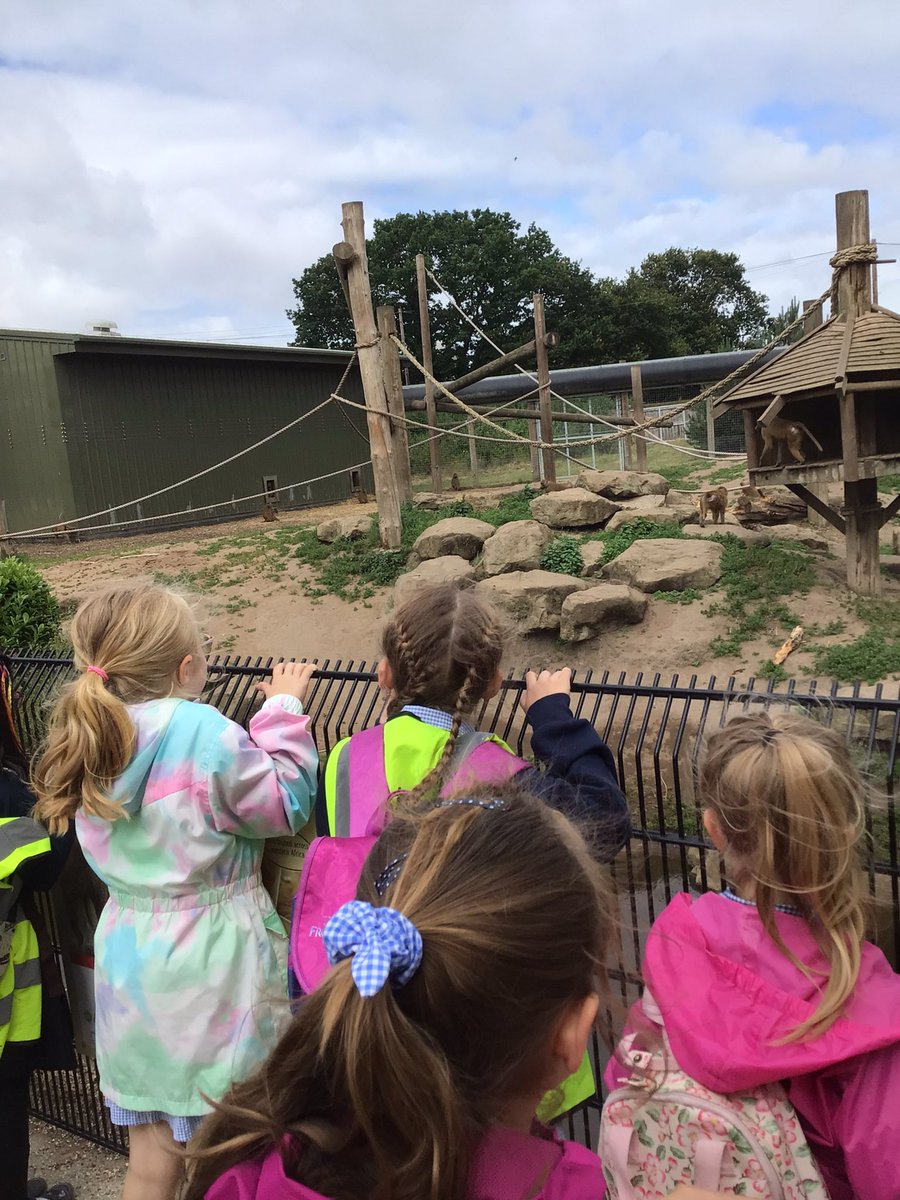 Y1 Blue Class-Beighton NI tweet media