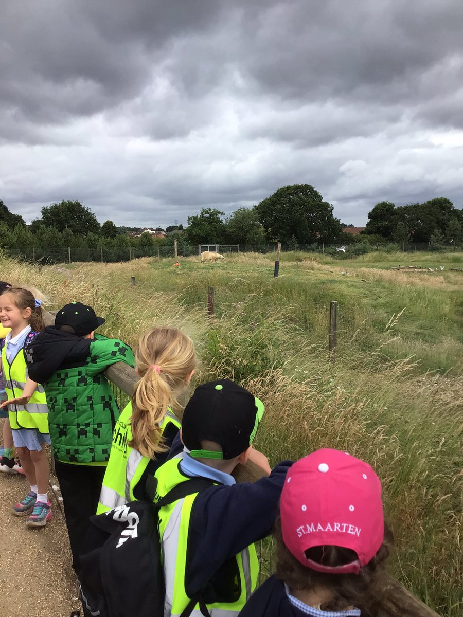 Y1 Blue Class-Beighton NI tweet media