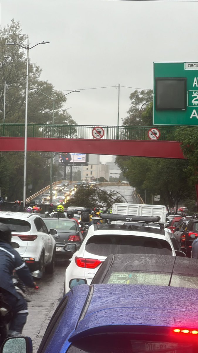 guillorey's tweet photo. Pa’ acabarla de chingar  en lunes, se acaba de caer árbol en Coyoacan .. sobre Churubusco  #arbolcaido .. a ver si se dan si vueltecita #cdmxgo https://t.co/COh4FVQvFf
