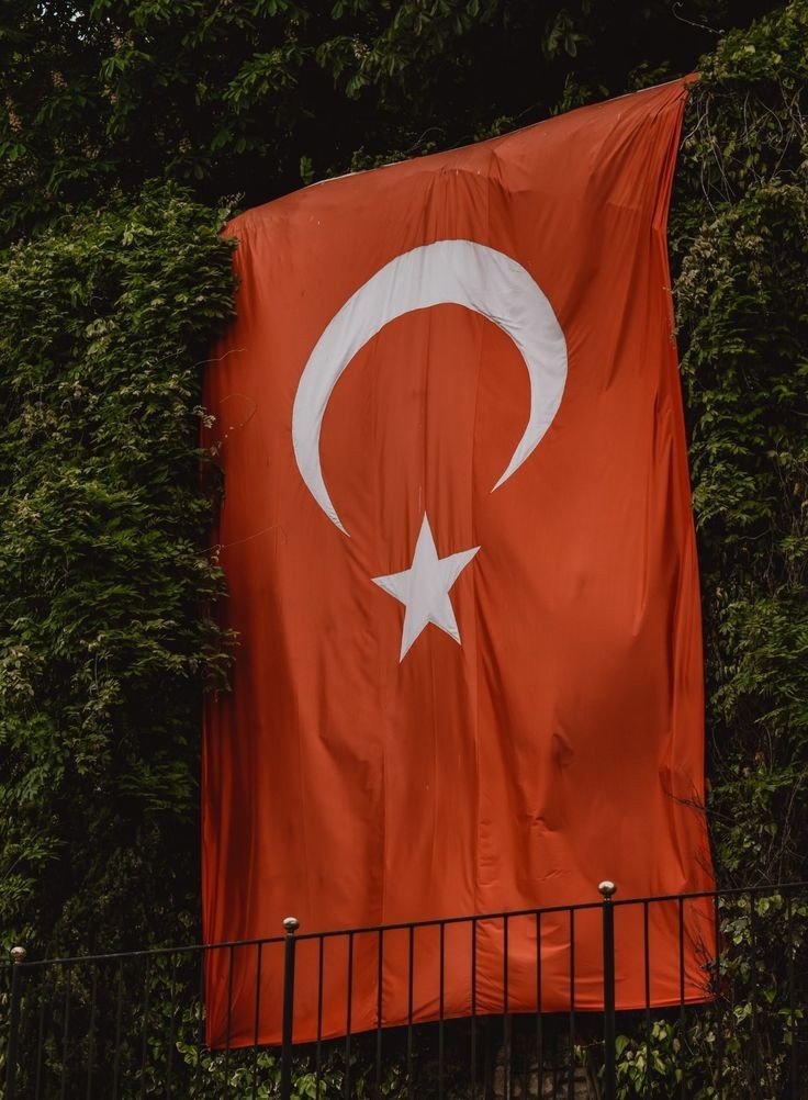 ilbey_onal's tweet photo. Kan dökülmesini seven bir millet olmasak da söz konusu vatan olduğu zaman Dünya’nın bile şah damarını kesebilecek bir güçteyiz. https://t.co/Wjo3fziUWh