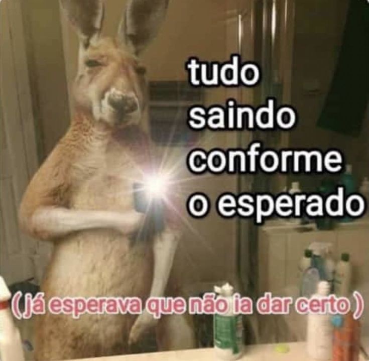 ounojo's tweet image. 