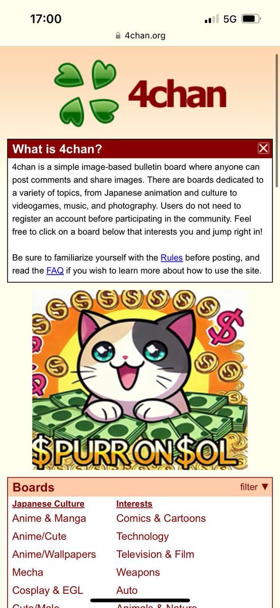 PURR_ONSOL's tweet image. 4 chan loves $PURR
