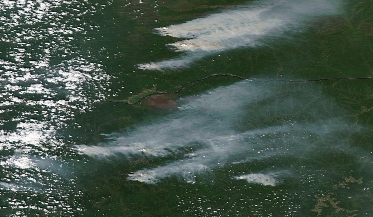 WildlandFirefig's tweet image. Un poco más al norte. Los incendios de arriba arden con mucha fuerza...demasiada. Se observan claramente pirocúmulos, incluso quizás #PyroCB