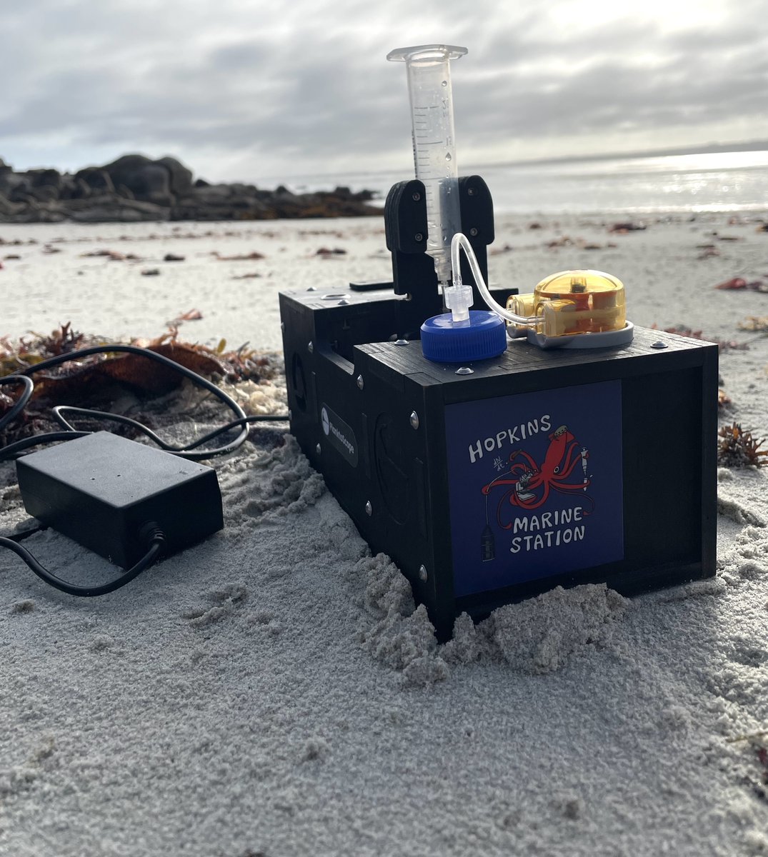 planktonico's tweet photo. Just wrapped up another exhilarating week at Hopkins Marine Station for Embryology 2024 with @lab_lowe and @Vane_Barone, one of my favorite places on the planet. https://t.co/Fd4Rvk5u1l