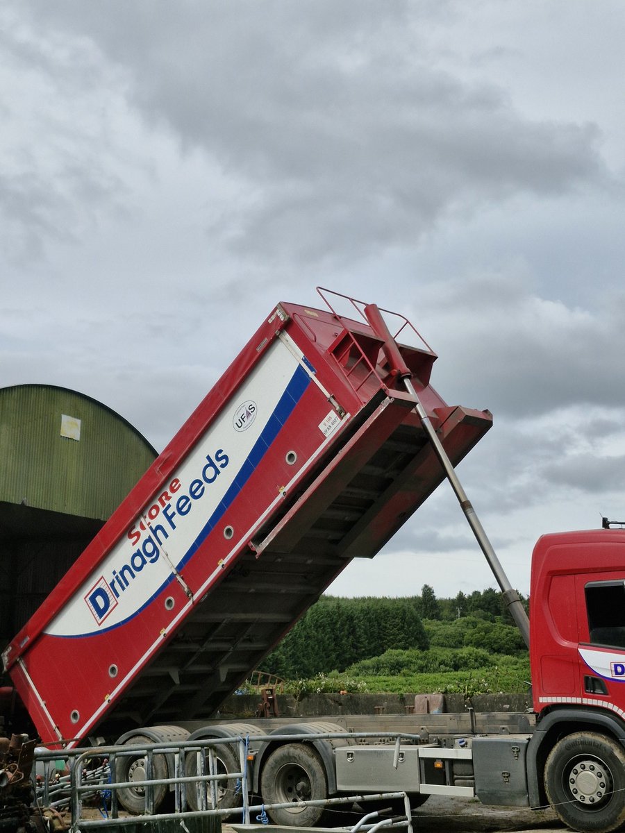 Patrick Mc Carthy tweet media