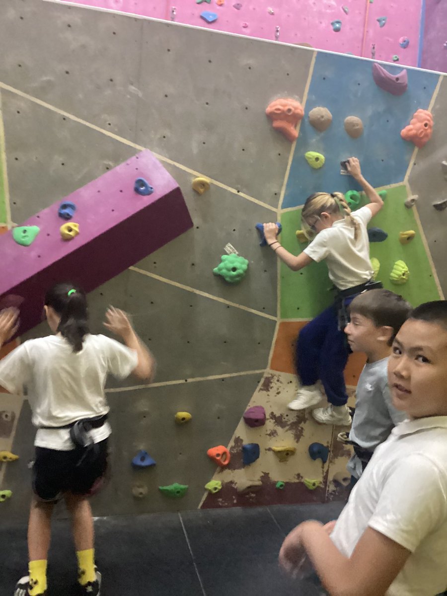 Wyndham PE and School Sport tweet media