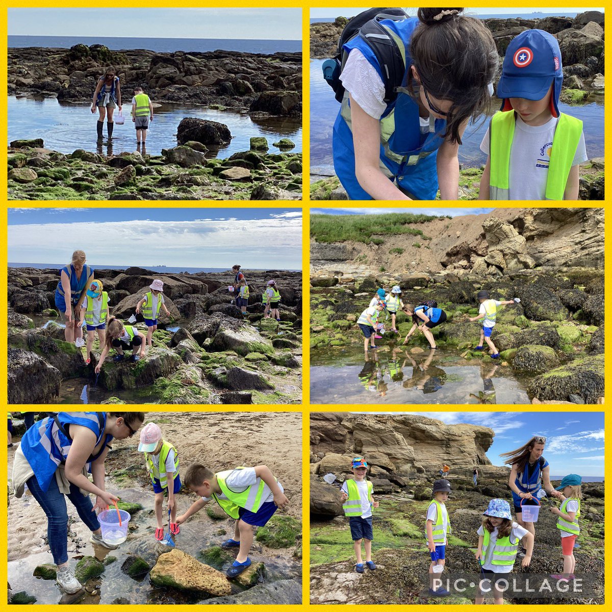CpsYear1's tweet photo. Y1LE were incredible when they went Rockpooling! It was such a fantastic morning. Thank you so much to all our adult helpers. 🦀🐚🐠☀️ https://t.co/iEgVyy1MDS