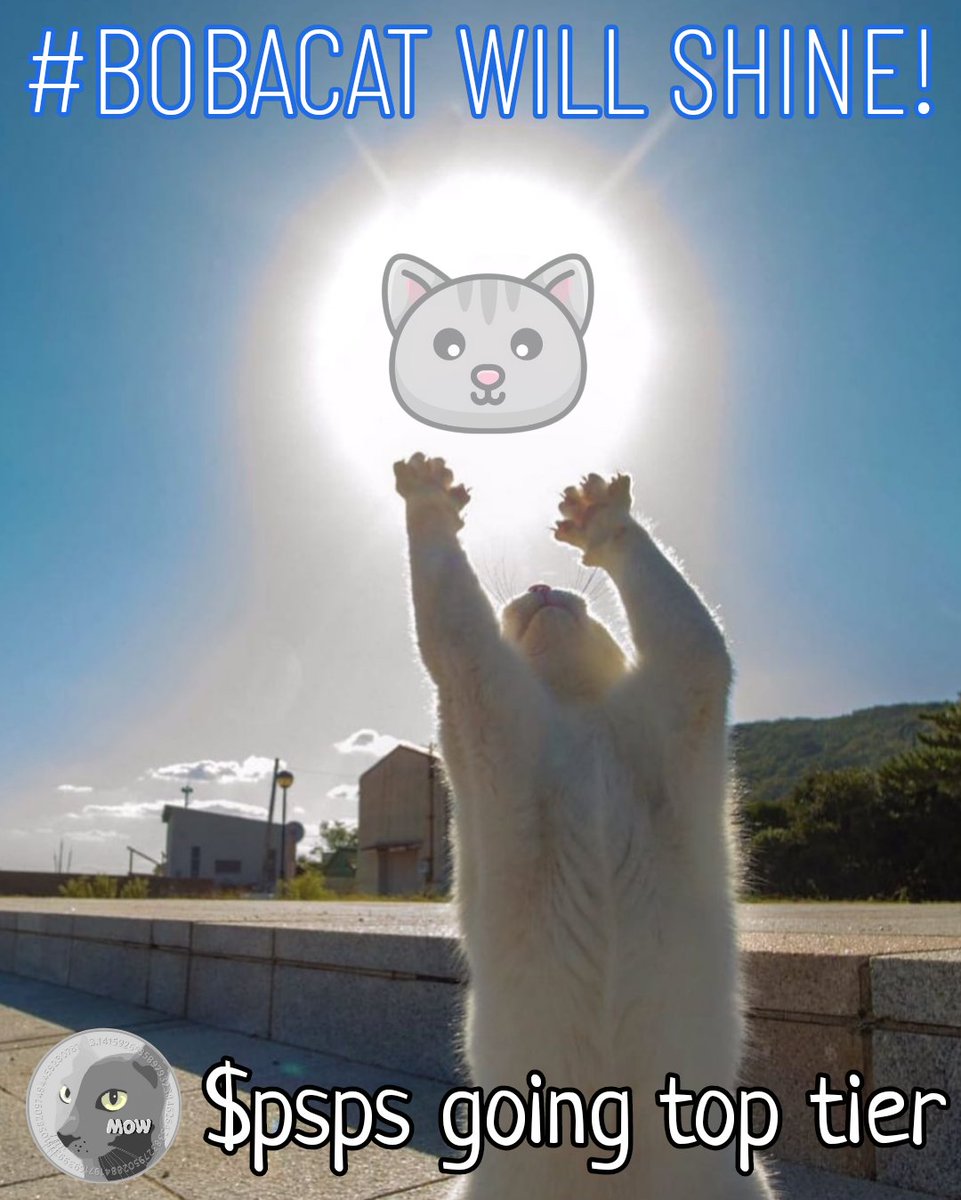 Boba_da_Queen's tweet photo. Summer is upon us 🌞
Will we have a cat run again soon?
Not a question of IF obviously, but a question of WHEN!?!
Top cat pick is #bobacat of course, ticker $psps 😎🐈‍⬛
Enjoy everyday like there is no winter even if you live near the equator or in the land down under 🌏🏝 https://t.co/vNgPAbn6DB