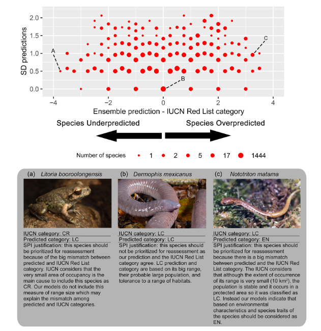 Pablo M. Lucas (@pablo_m_lucas) on Twitter photo 🚨🚨Our new paper is out in <a href="/ConBiology/">Conservation Biology</a> !! We identified which #amphibian 🐸 species should be prioritized for future <a href="/IUCNRedList/">IUCN Red List</a> reassessment
of #extinction risk #conservation #biodiversity #Ecology
<a href="/IUCN/">IUCN</a> conbio.onlinelibrary.wiley.com/doi/10.1111/co… 🚨🚨Our new paper is out in <a href="/ConBiology/">Conservation Biology</a> !! We identified which #amphibian 🐸 species should be prioritized for future <a href="/IUCNRedList/">IUCN Red List</a> reassessment
of #extinction risk #conservation #biodiversity #Ecology
<a href="/IUCN/">IUCN</a> conbio.onlinelibrary.wiley.com/doi/10.1111/co…