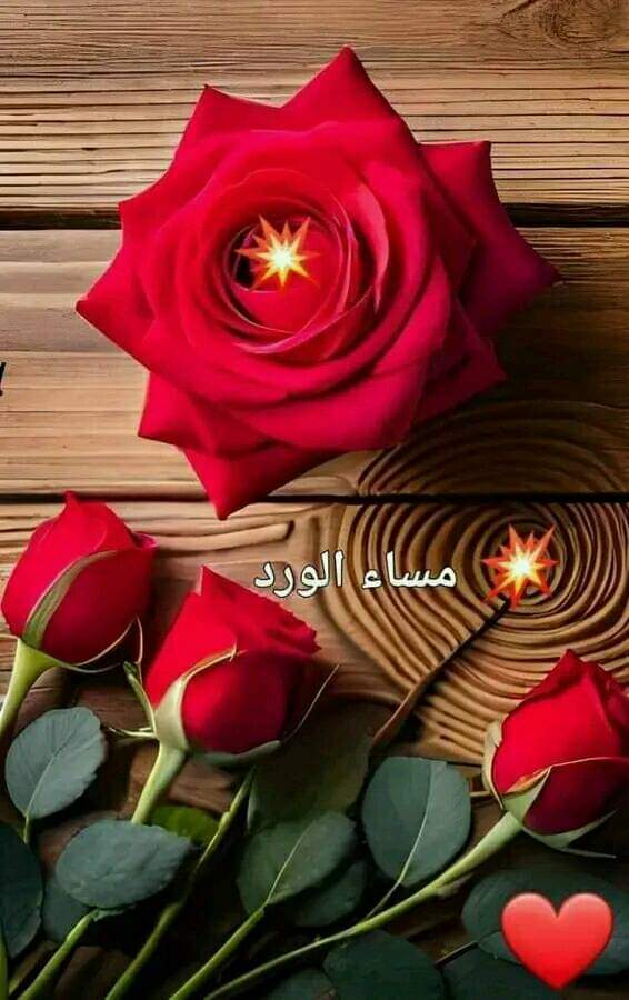 .مساء الخير ياهل الغلا والذوق
كلام الحب لكم شعر وخواطر  🌹☘️

اتيتكم امسي والقلب كله شوق
ردو المساء أشواق تسعد الخاطر  🌹☘️

      #يسعد مساكم أحبّتــي 🌹☘️