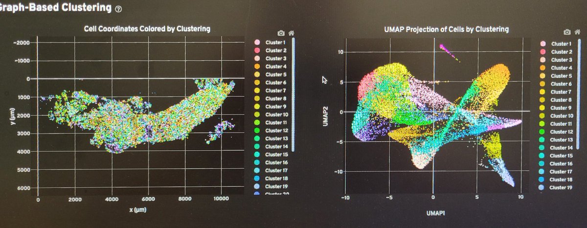 Fotis Nikolos tweet media