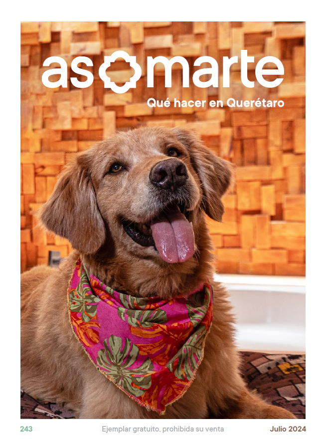 asomarte's tweet photo. Este mes, no te pierdas un reportaje con lugares 🐶pet friendly; un texto para que vivas la experiencia de la apicultura🐝 y un perfil para conocer más sobre la observación de aves🐦🪶 en la ciudad...

¡Échale un ojo a nuestra edición de julio!
https://t.co/ZHvsHaa9cg https://t.co/4Fq5yMWkyR