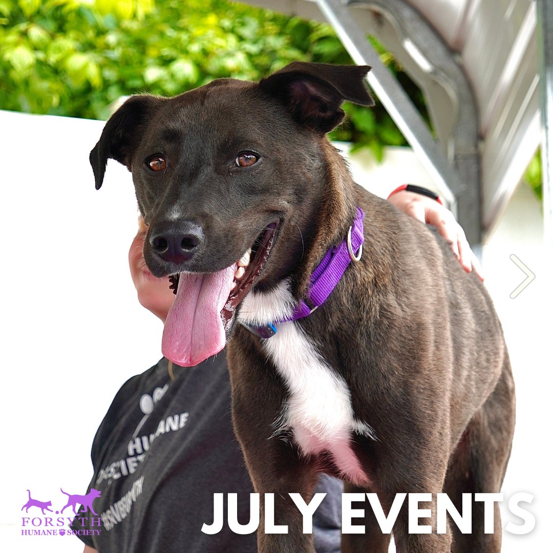 Forsyth Humane Society tweet media