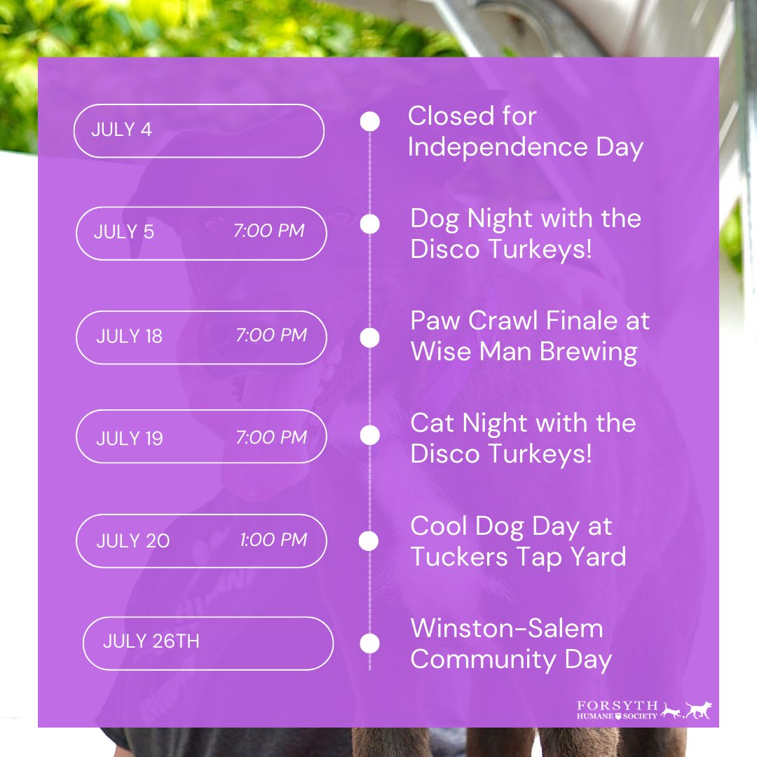 Forsyth Humane Society tweet media