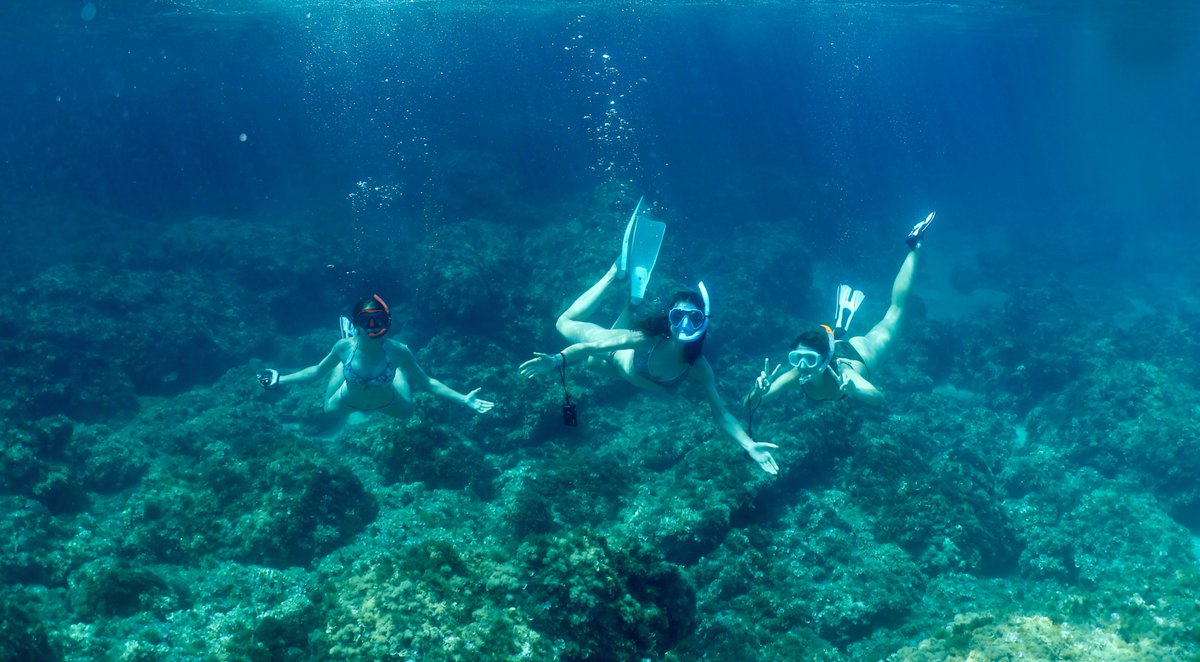 Primer taller de fotografia submarina de la temporada! Ens submergírem a Cala Sant Vicenç per fotografiar paisatges submarins i les espècies que hi trobàrem.
Gràcies a MARE Balear i OM System per deixar-nos les càmeres i per la confiança.  
#fotografiasubmarina #conscienciar