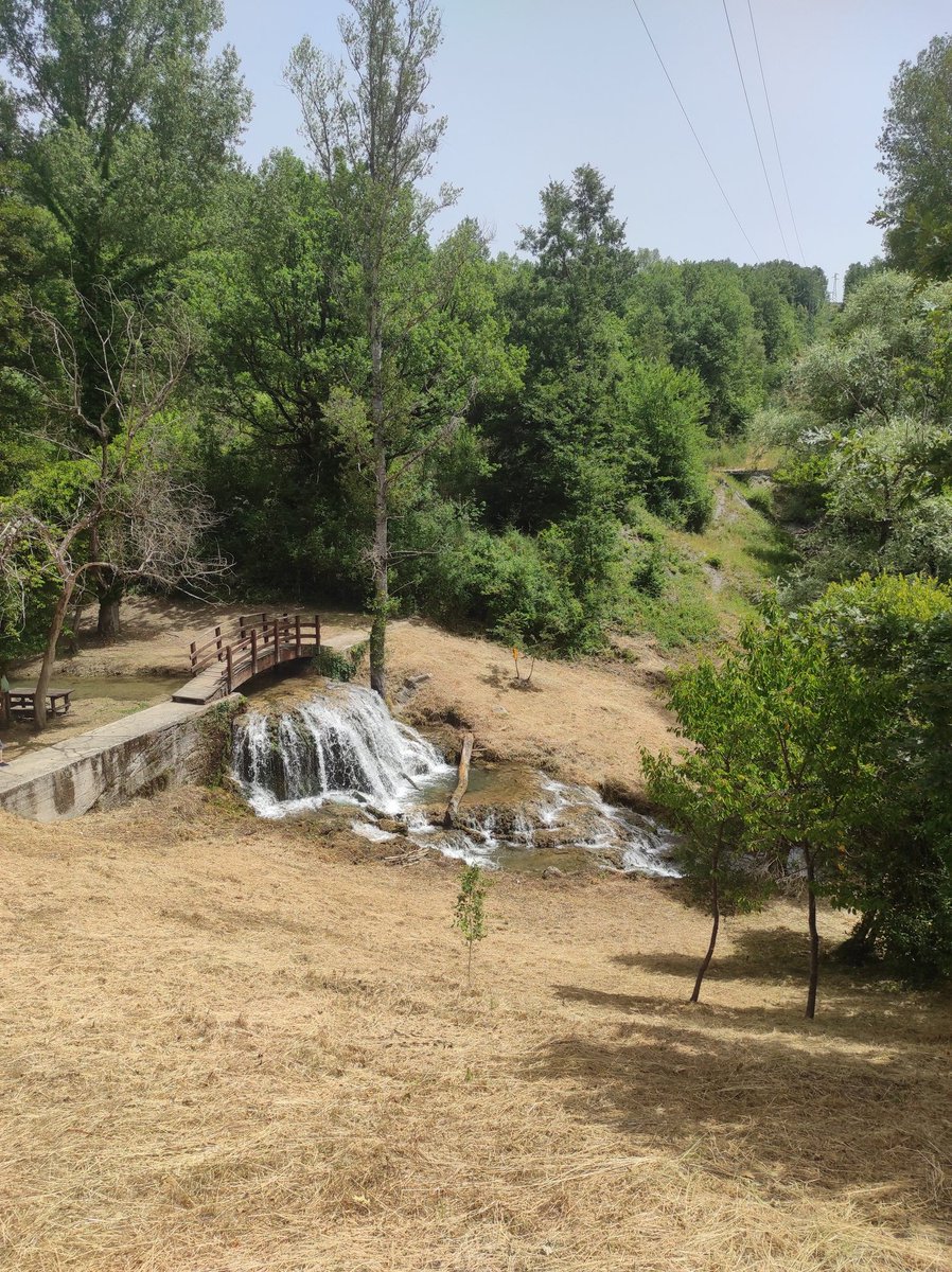 la_grancontessa's tweet photo. 🌿🌳💧
#cascate #cascatetermali #latronico #calda #montealpi #termedilatronico #cascateoasidelbenessere #basilicata #lucania #italia #italy #nature #natura #summer #estate #green #bosco #woods https://t.co/p9X5A914xb