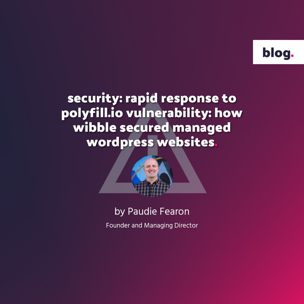 Read our latest blog from our MD about a critical vulnerability in Polyfill.io that affected 4% of the world's websites and how the team at Wibble took swift action to ensure the safety of all our sites. Paudie covers Wibble's approach to WordPress security.