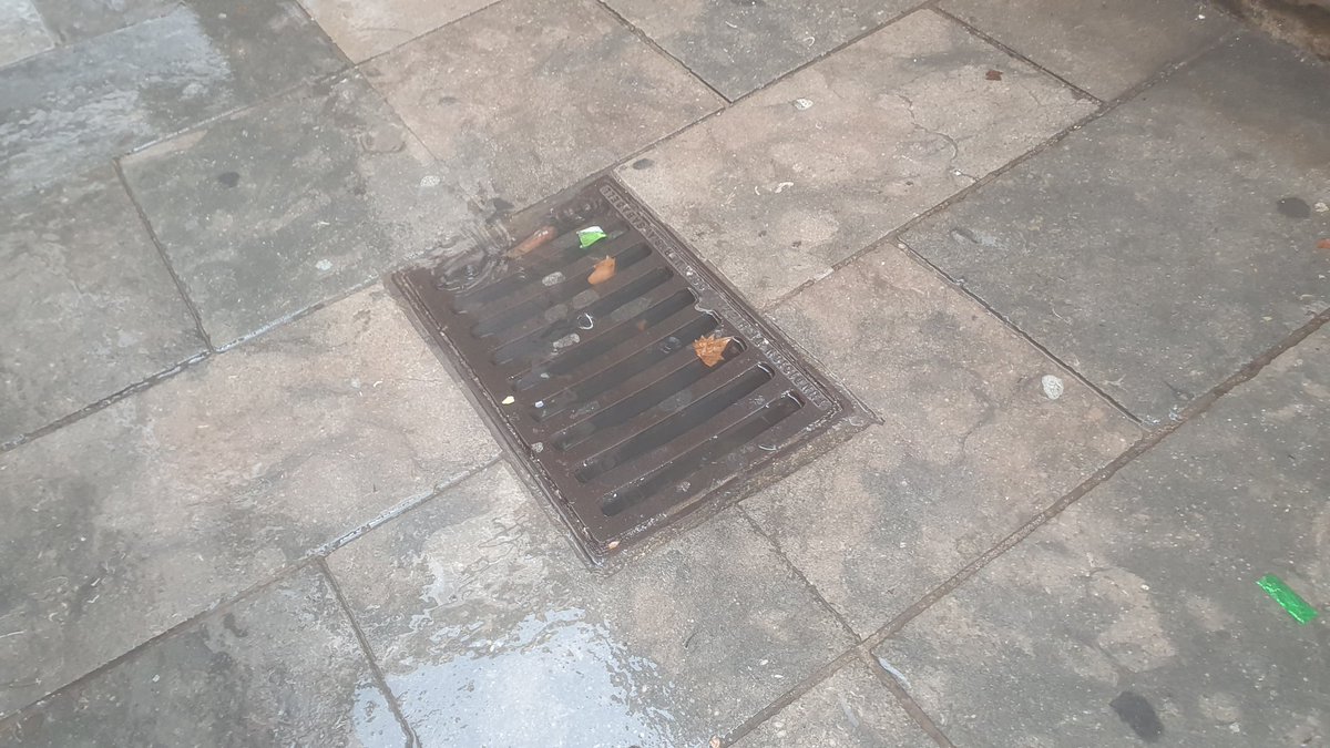 Alba Roca tweet media