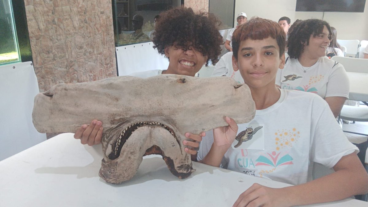 EduCUA 2024 brought together amazing young minds for a week of learning and fun at UPR-Mayagüez. From arts and crafts to science workshops, it was an unforgettable experience! ￼￼ 

For more information please visit: carseuprm.org/summary-of-the… #UPRMayagüez #EducationMatters