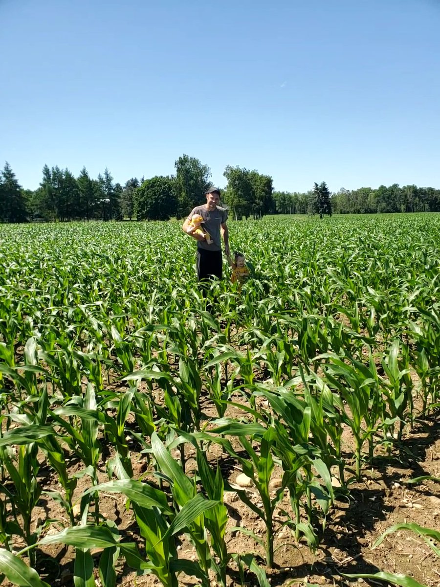 First and last planted,2024
