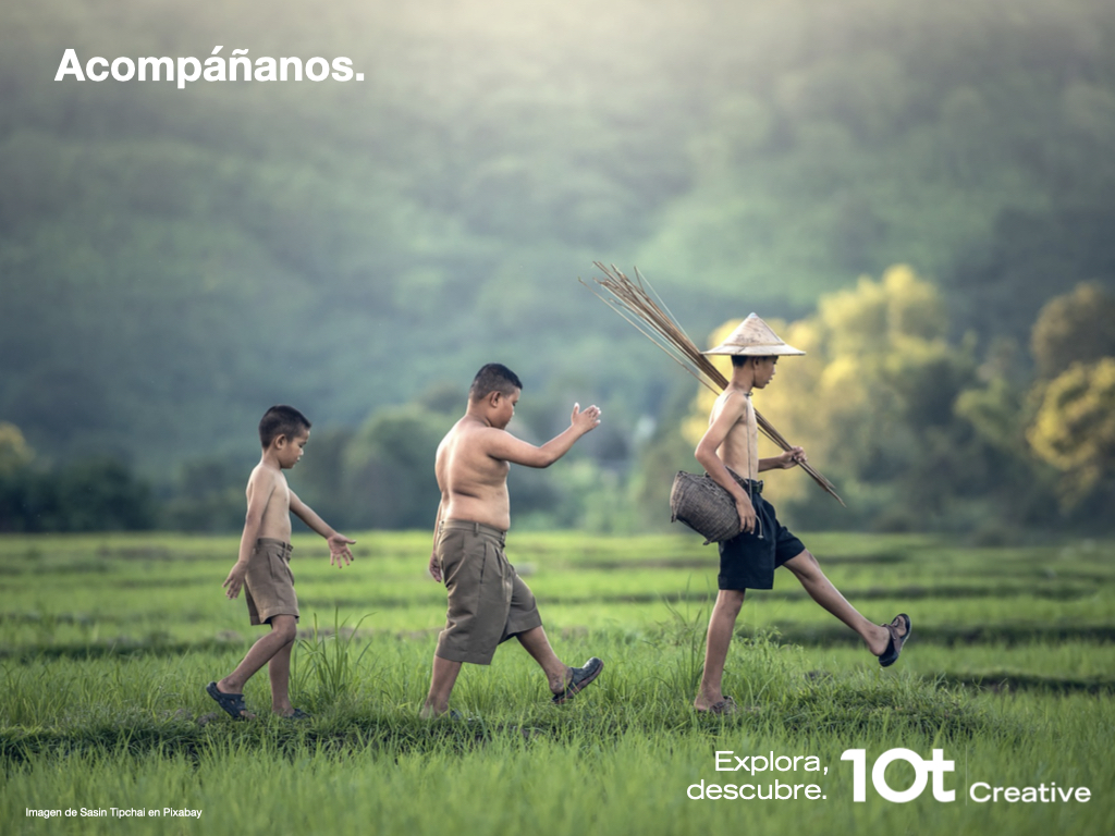 “#10tCreative es el resultado de la reflexión sobre el camino a seguir en la #Direccion de #proyectos” #10tProjectManagement #projectmanagement