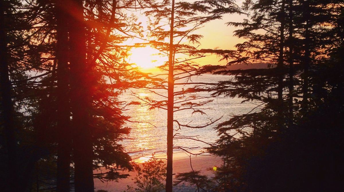 🌍🌊 It's Plastic Free July! How will you help reduce plastic waste? Let us know in the comments below! 

📷 Bri Walker