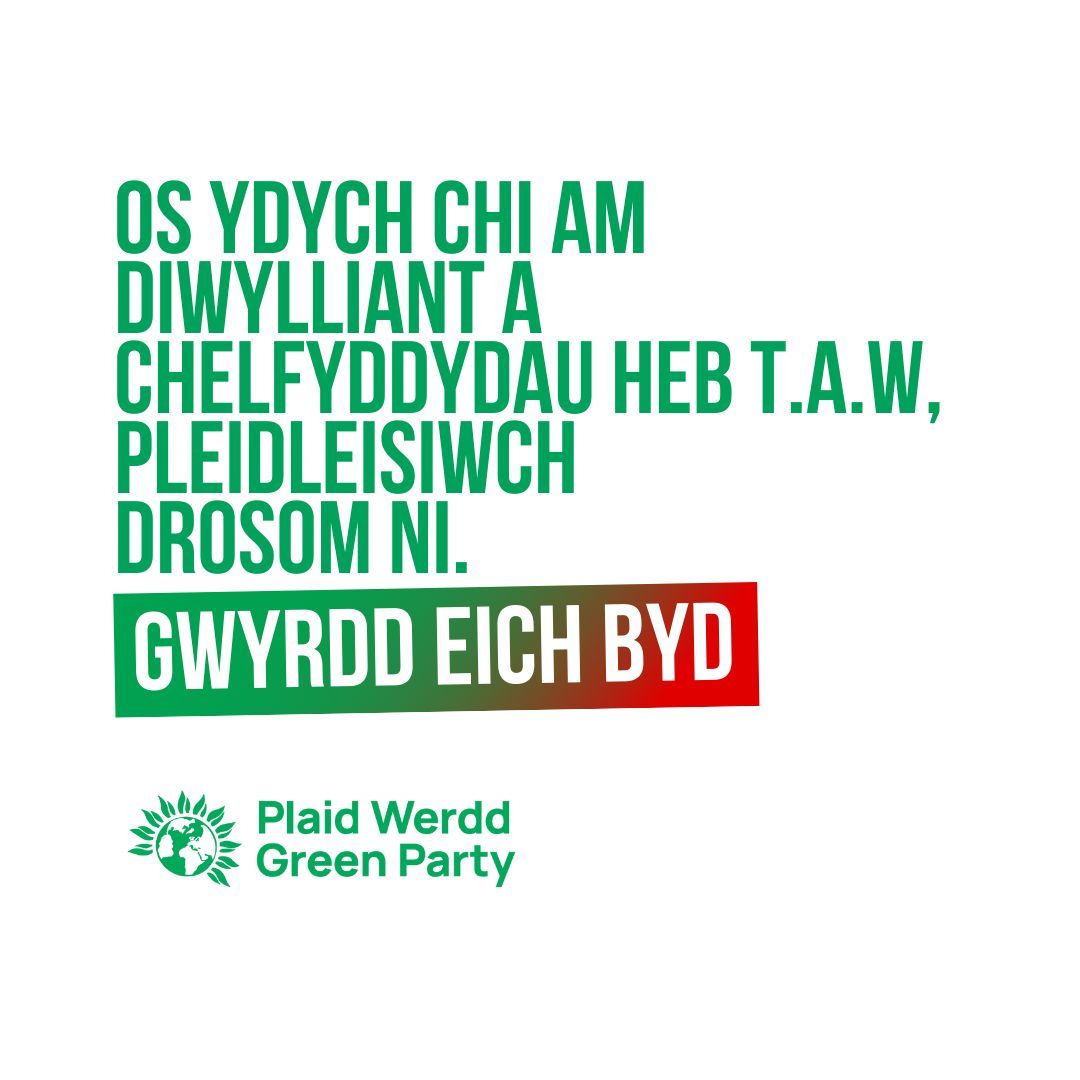WalesGreenParty's tweet photo. 💚 invest in community sports, arts and culture
💚 support local, grassroots venues
💚 exempt cultural events from VAT

"Everything from theatre and museum tickets to gigs in local pubs"
#TurnGreen #GwyrddEichByd

Join Wales Green Party: https://t.co/LeSzmfThre https://t.co/n8nAllBoRa