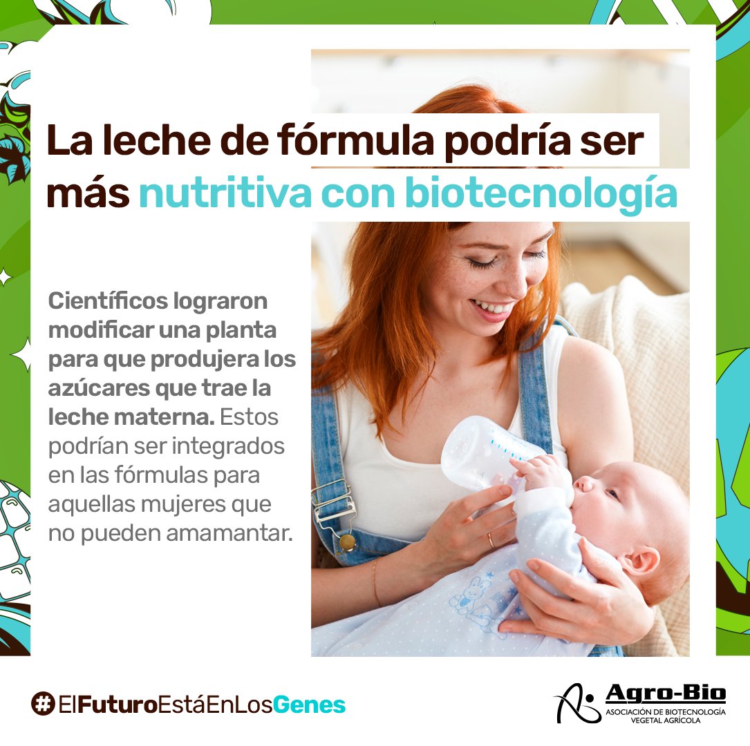 Agrobio_andina's tweet photo. ✨#BioNoticia👶 La leche de fórmula, esencial para muchas mujeres que no pueden amamantar, puede ser aún más nutritiva con un cultivo genéticamente modificado que produce azúcares beneficiosos.

🌞 ¿Quieres saber cómo? Haz clic aquí: https://t.co/f3Ea024gGO🌟 https://t.co/nKNnHJZ9St