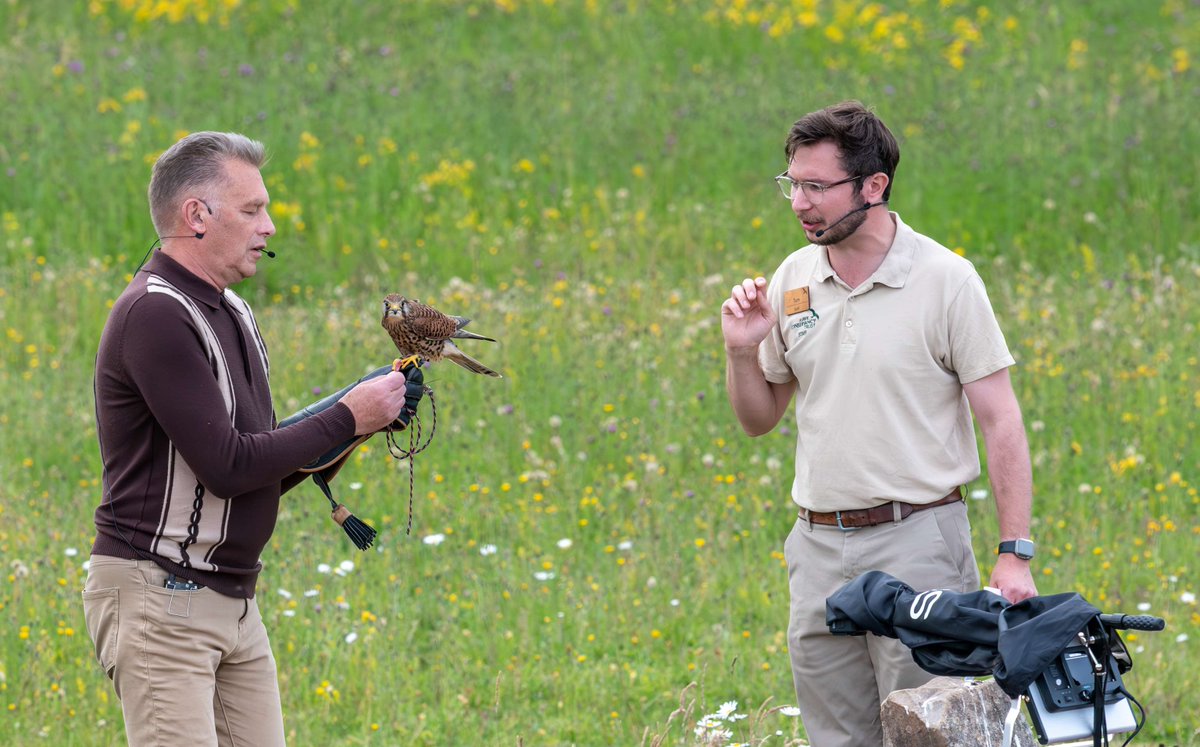 Hawk Conservancy Trust tweet media