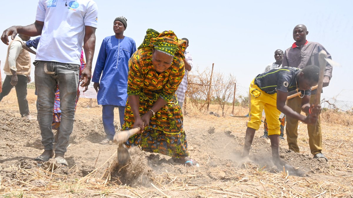 CorpsMali's tweet photo. Formation sur les techniques résilientes de rétention d'eau et sur la culture fourragère. 
Le Programme PASERREL III a formé 20 participants sur la réhabilitation des terres dégradés, le traitement et la conservation des fourrages à Djenné.
#MercycorpsMali 
#Ensemble_on_peut https://t.co/5Gok4I5mzb