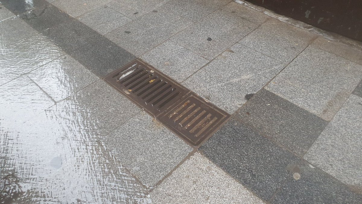 Alba Roca tweet media