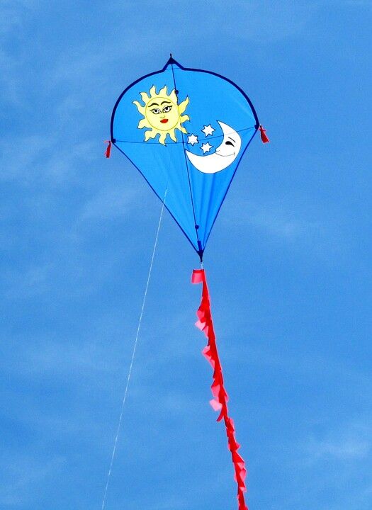 CHEON YOON tweet media