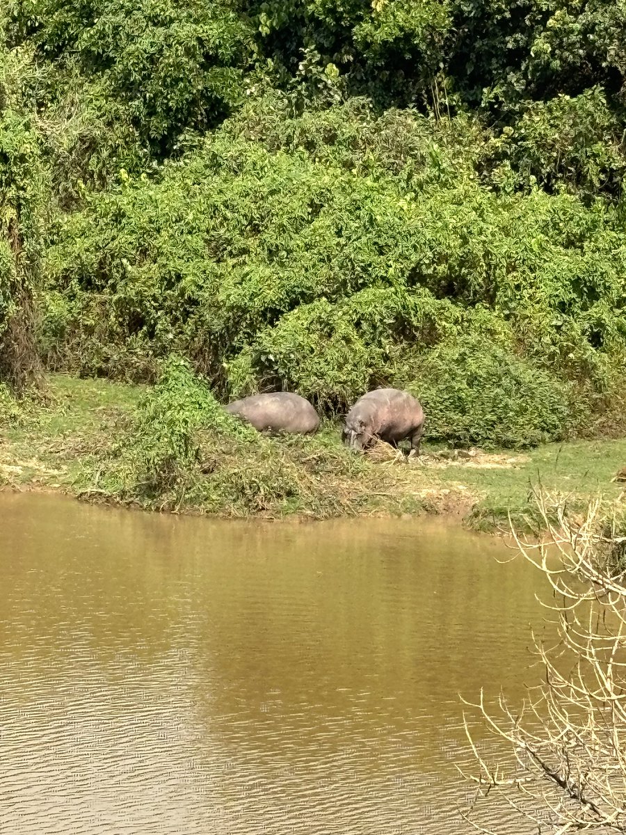 TallAngolan's tweet photo. A vista que meu salo me proporciona e  sem pagar nada. Como este país 🇦🇴 é rico! https://t.co/ZKpt6SsSwA