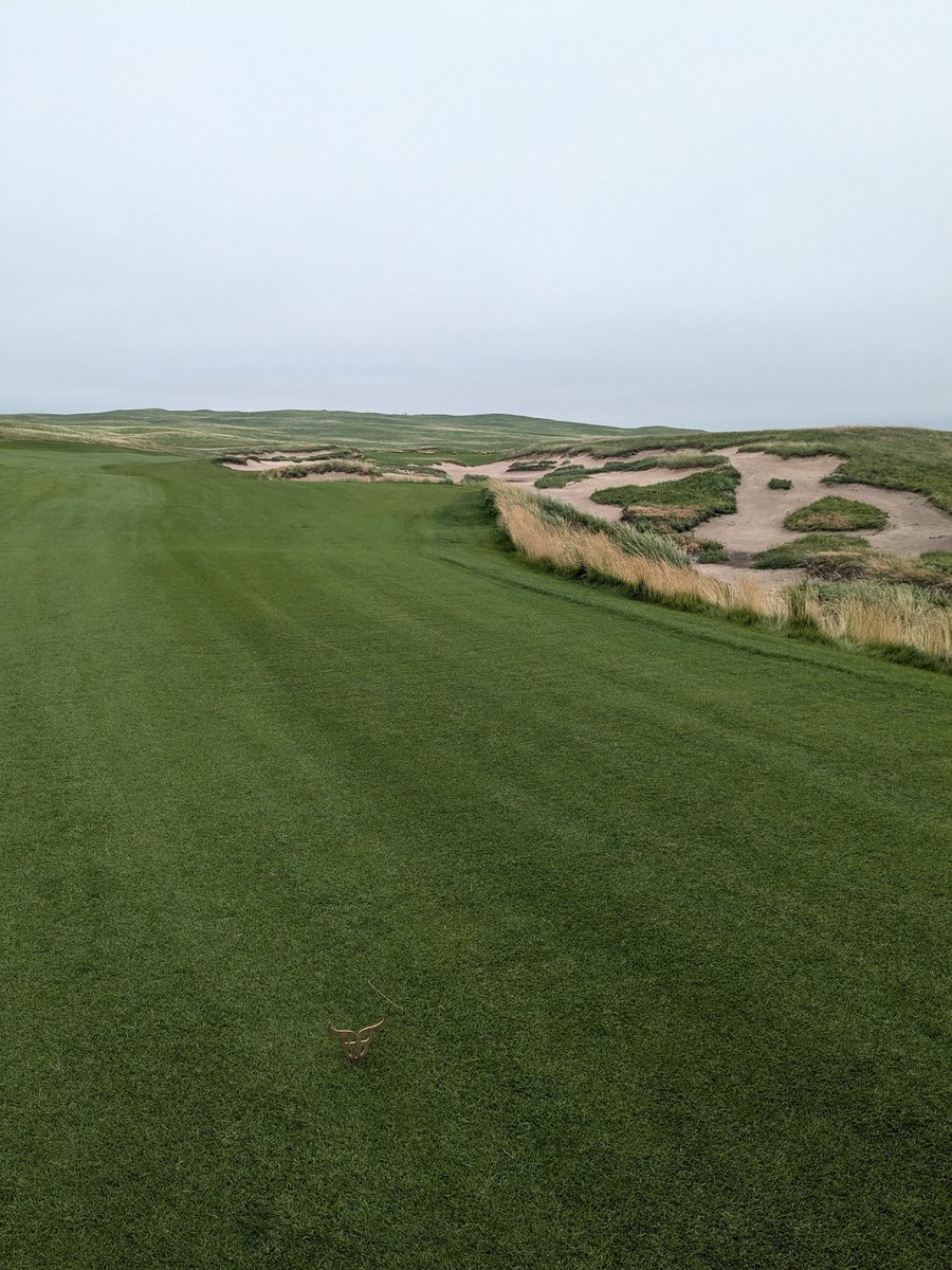 kitlofgreen's tweet photo. Golf is back! https://t.co/yFqv9iHrGk