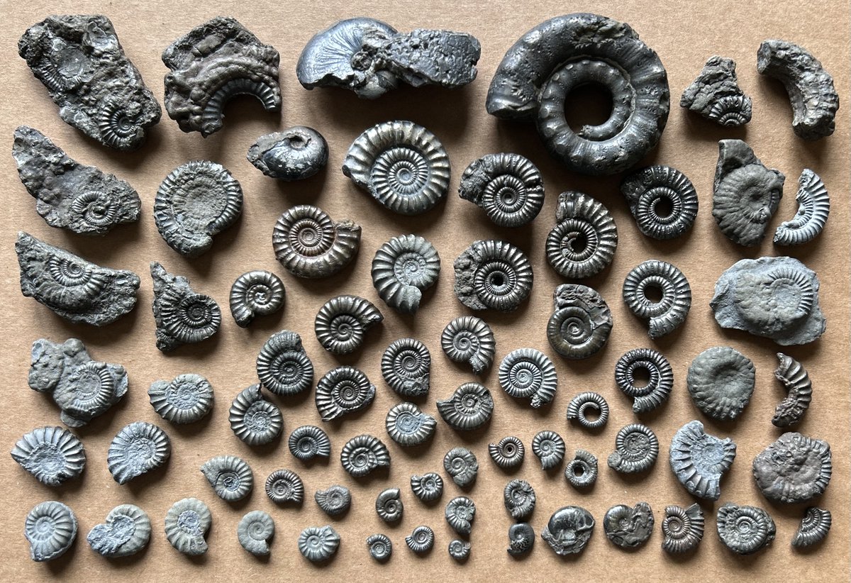 Nature can be breathtakingly beautiful can't it.