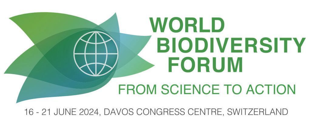 Sovereign Nature Initiative (@sovereignnature) on Twitter photo 1/4 🌿 Exciting news! Last month, SNI was honored to participate in the <a href="/WorldBioForum/">World Biodiversity Forum</a> in Davos.
Our Head of Field Research & Partnerships, <a href="/AleMazzi333/">Alessandro Mazzi</a>, shared our innovative approach using blockchain to fund and monitor biodiversity projects. 1/4 🌿 Exciting news! Last month, SNI was honored to participate in the <a href="/WorldBioForum/">World Biodiversity Forum</a> in Davos.
Our Head of Field Research & Partnerships, <a href="/AleMazzi333/">Alessandro Mazzi</a>, shared our innovative approach using blockchain to fund and monitor biodiversity projects.