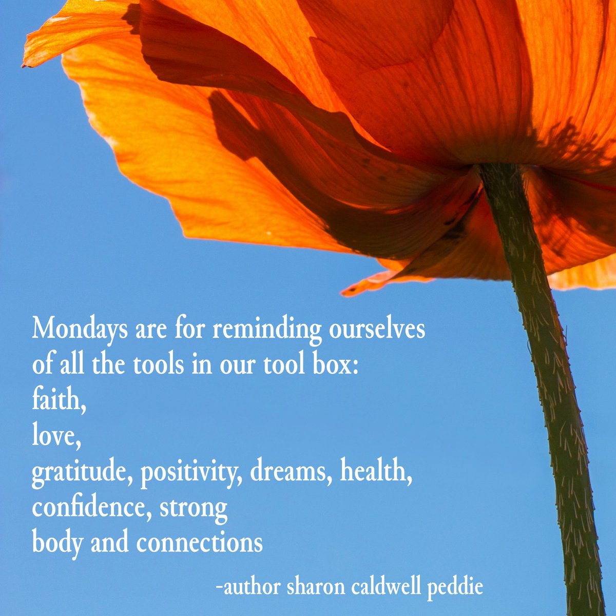 #mondays #MondayInspiration #happymonday #growyourselfbeautiful sharoncaldwellpeddie.com