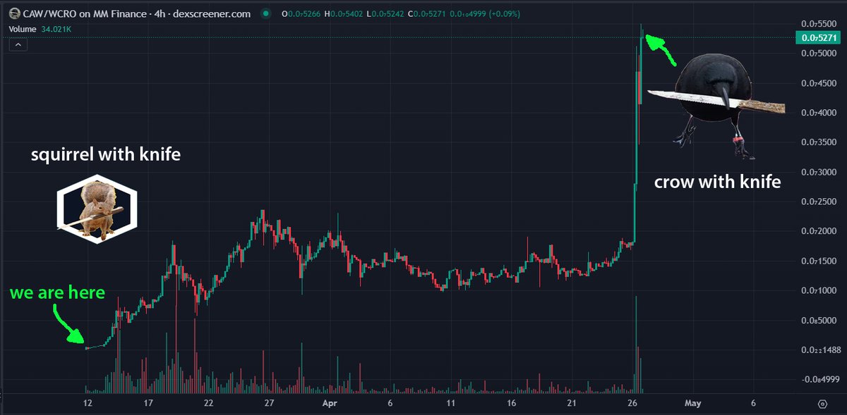 squirrel with knife tweet media