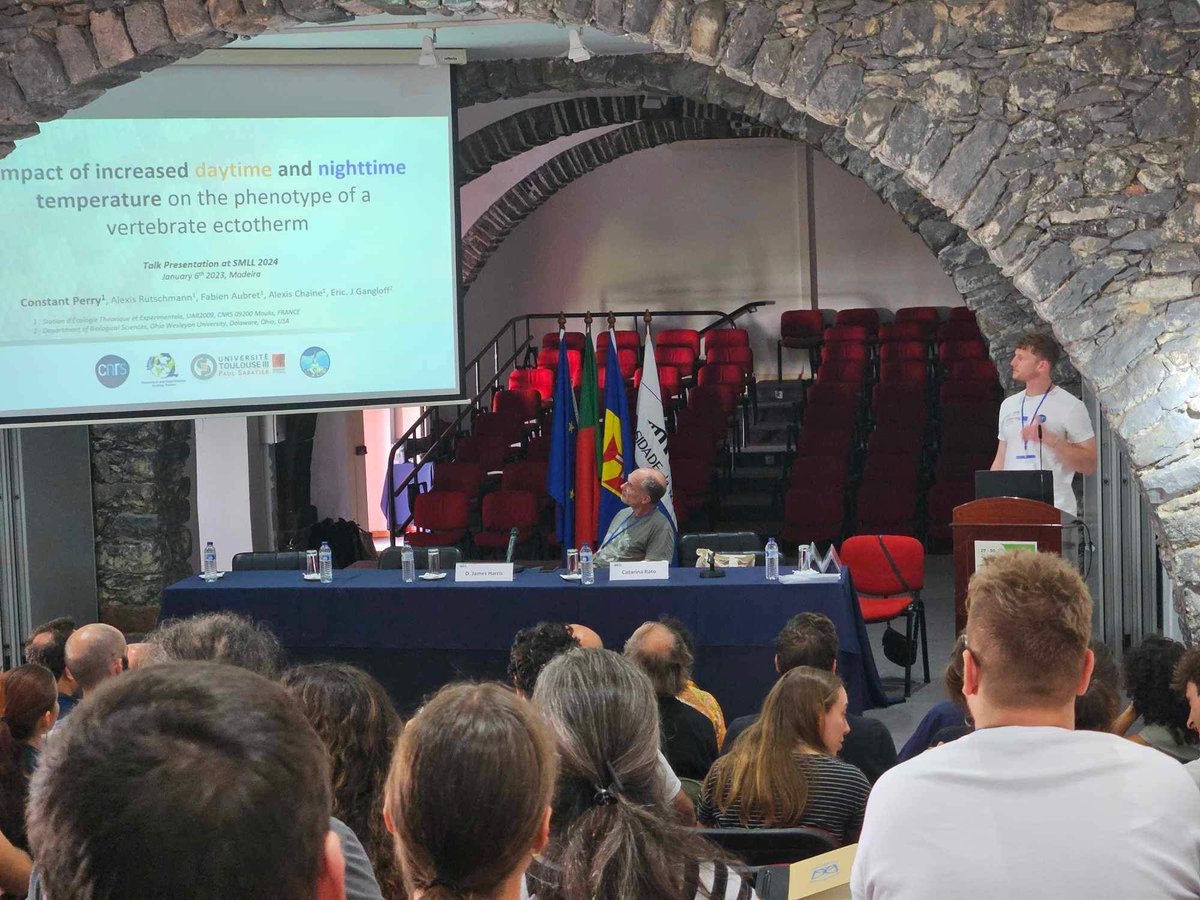 Constant Perry tweet media