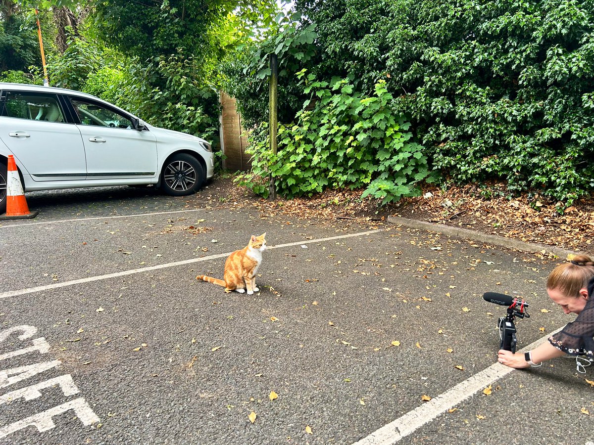 TheStourbridge's tweet photo. Last week I was fortunate to be filmed as I’ve been so fortunate to be nominated for. The  BBC Radio WM Make a Difference Awards 

Thank you so much friends, being nominated means so very much 

*apparently I’m a natural ❤️

@bbcwm https://t.co/dsar95RWdA