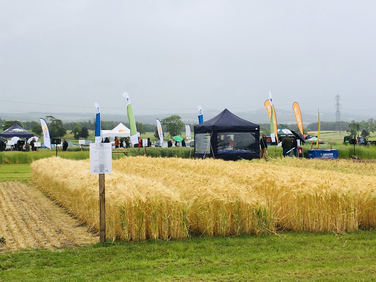 We're looking forward to #ArableScotland tomorrow (2nd July), fingers crossed the rain stays away!
Find out more about this year's event at: sefari.scot/blog/2024/07/0…